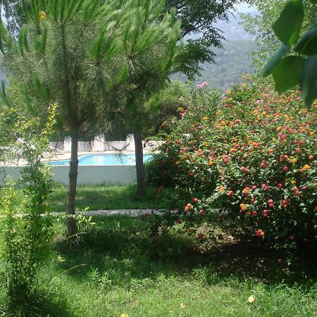 Fire Pansiyon Çıralı Ngoại thất bức ảnh